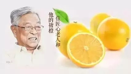 農產品的品牌營銷怎么做？學會這四點就夠了